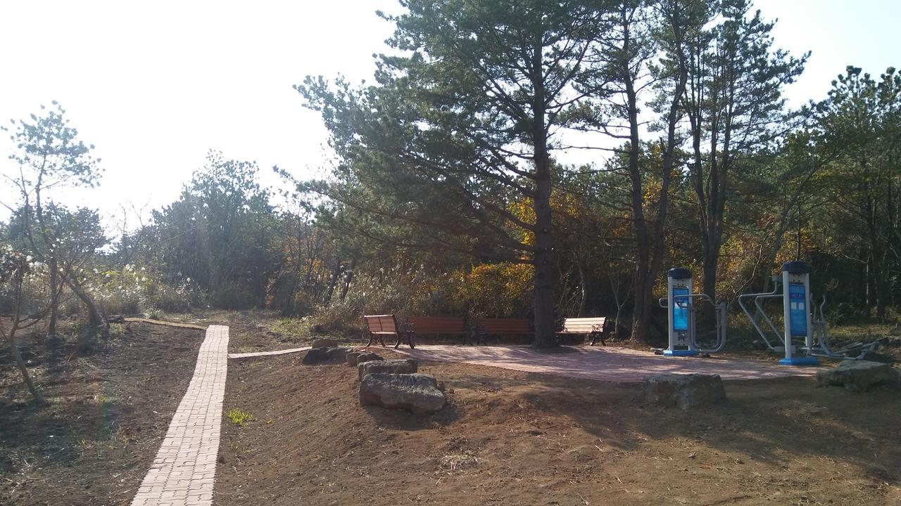 Jeju Youth Hostel المظهر الخارجي الصورة
