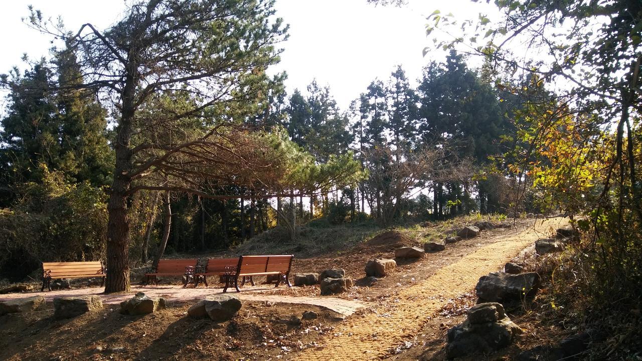 Jeju Youth Hostel المظهر الخارجي الصورة