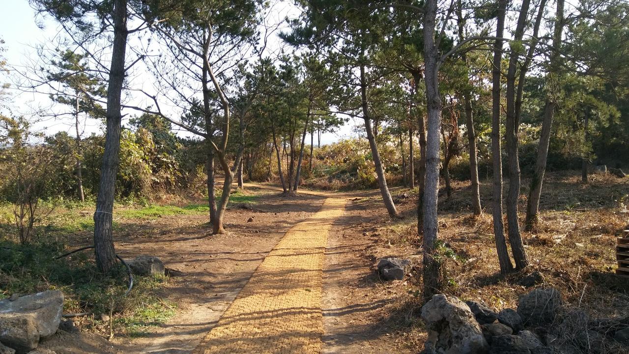 Jeju Youth Hostel المظهر الخارجي الصورة